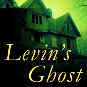Levin's Ghost by Russell Richardson